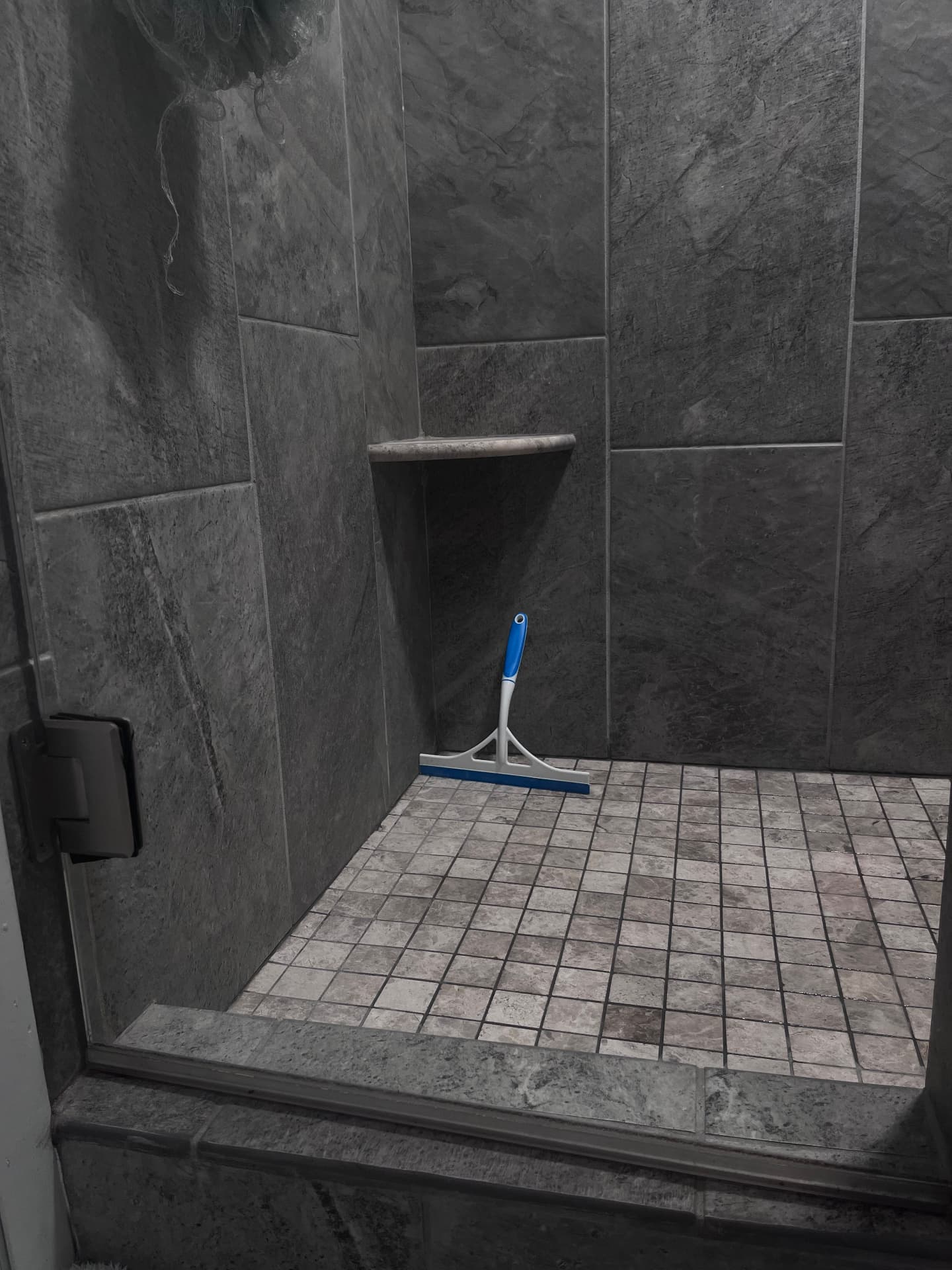 Shower Revival after cleaning