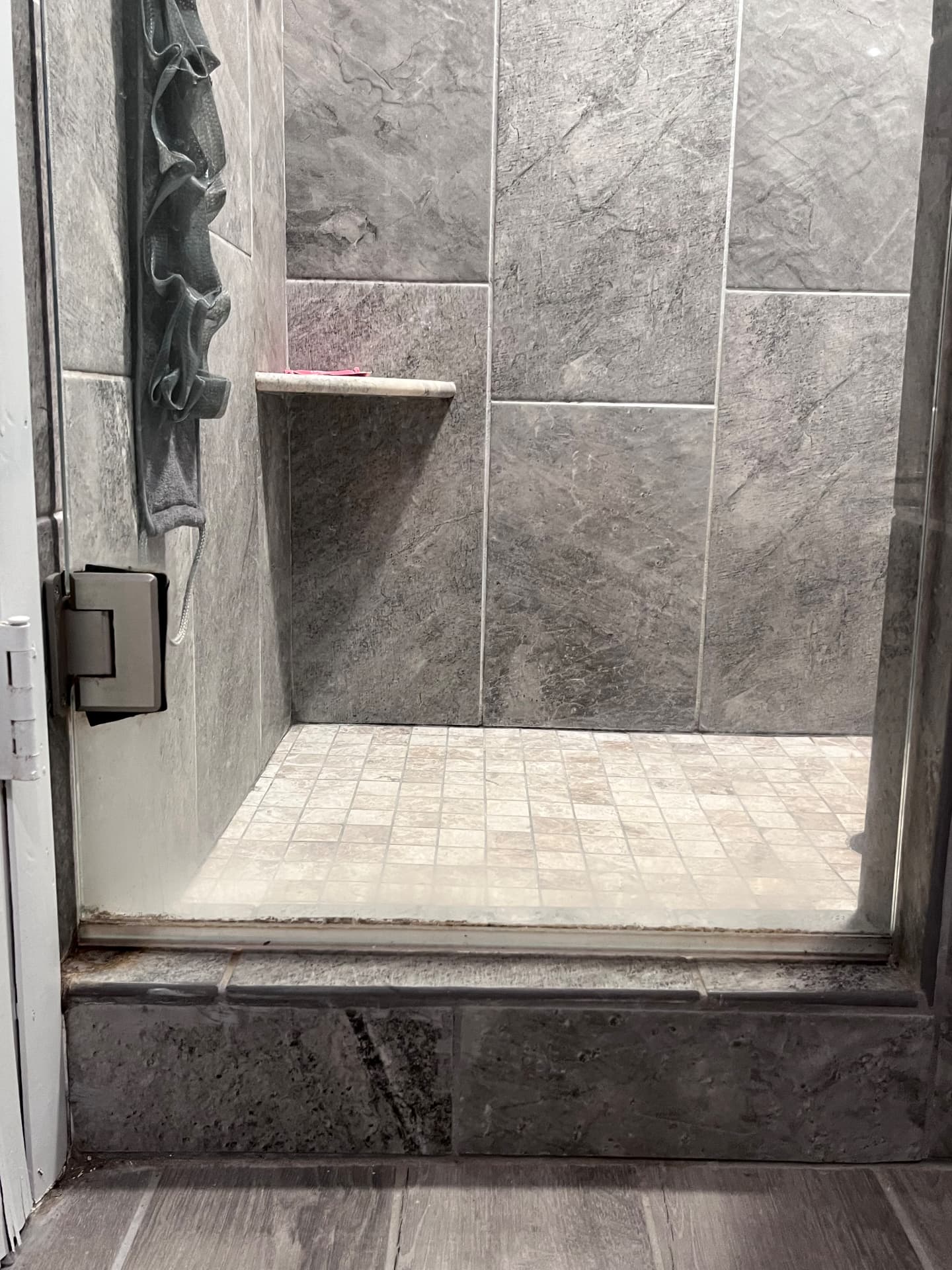 Shower Revival before cleaning